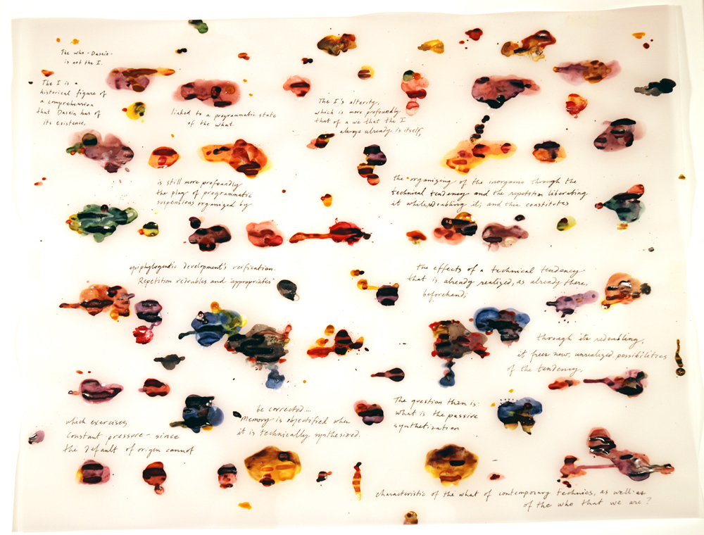 rebus-stiegler-stains-small