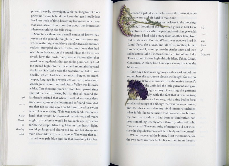 solnitt_inside_small