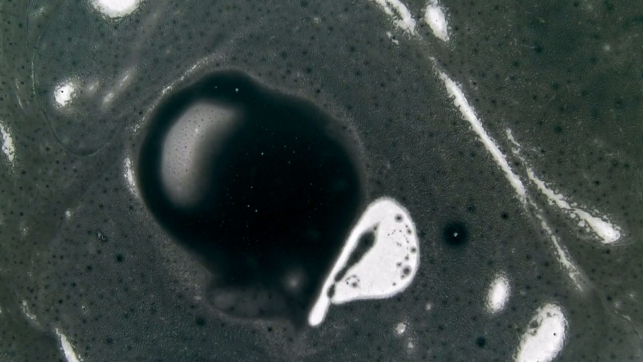 marina_roy_100_years_00003