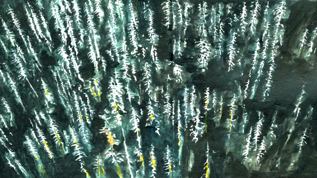 marina_roy_100_years_00011