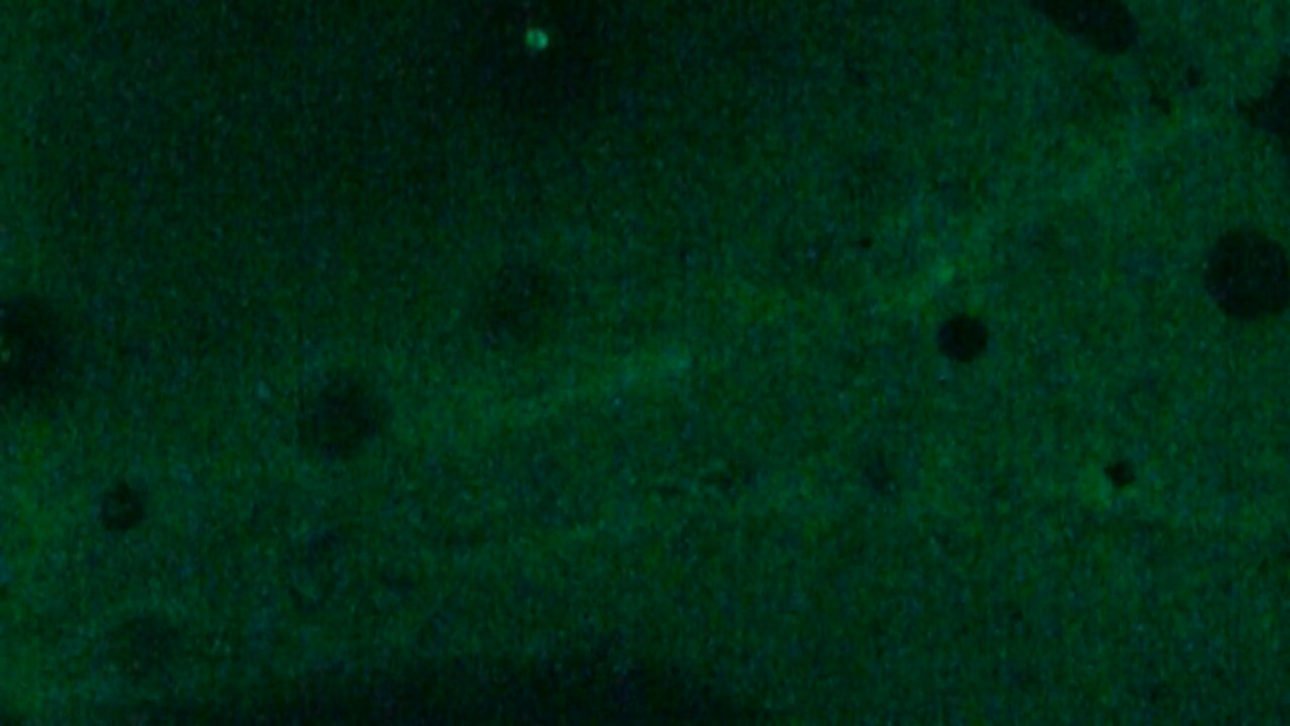 marina_roy_100_years_00016