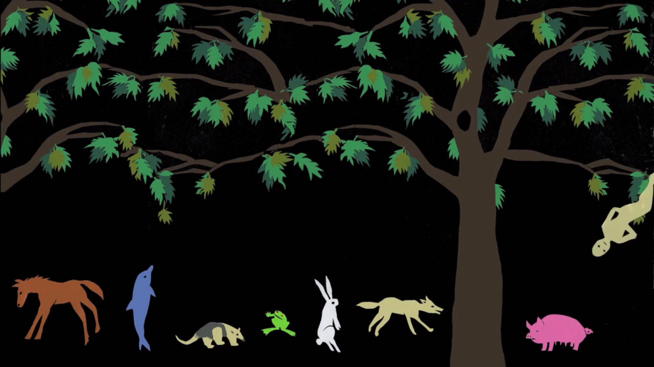 marina_roy_archipelago_00007