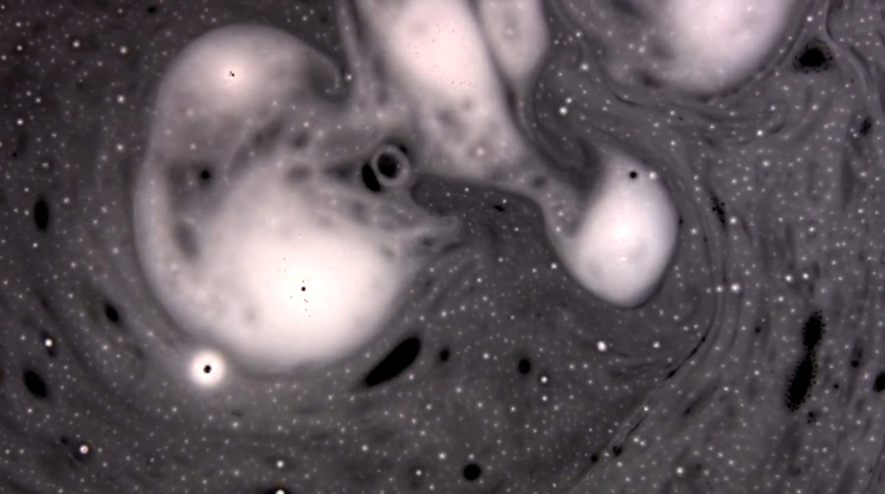 marina_roy_min_intel_00005