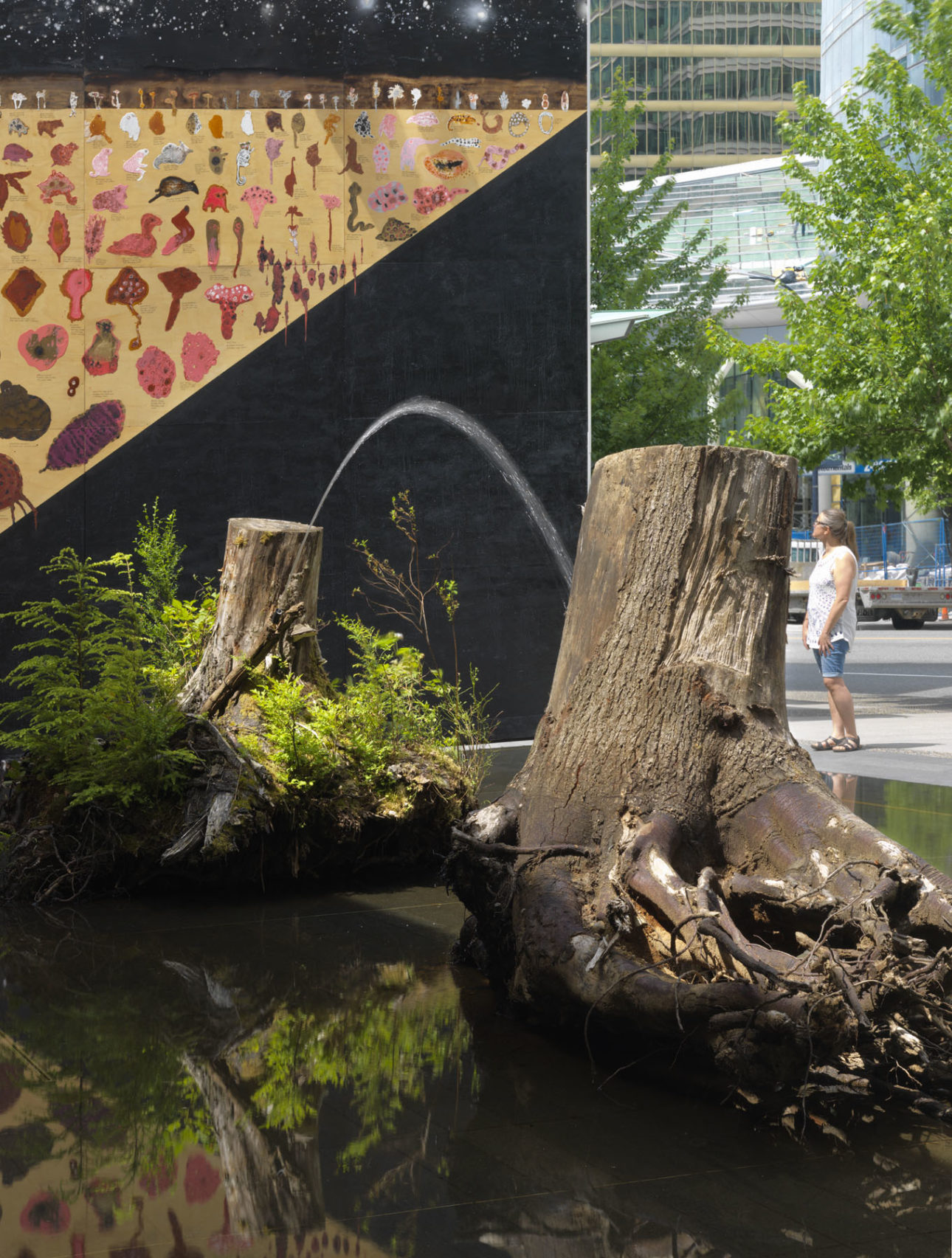 offsite panel_smallwall-stumps_75%