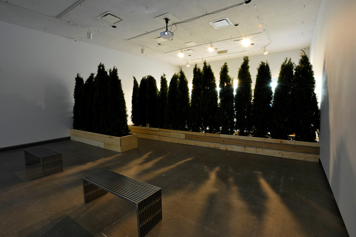 abbas-hedge_1200w_75%