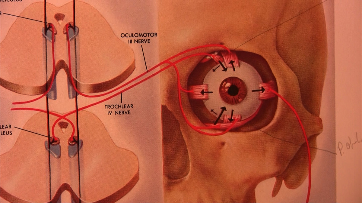 stone-reading1_1200w_75%
