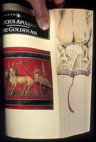 goldenass
