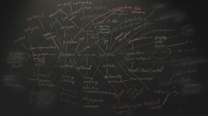 lecture_human_animal_blackboard_still